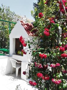 een bos van rode rozen naast een gebouw bij Mile Ferienhaus in Rab
