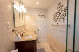 a bathroom with a sink and a mirror at BALDWIN HARBOR Aosis in Baldwin +25 photos