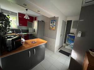 una cucina con piano di lavoro in legno di Cocon Tropical a Sainte-Anne Altre 77 foto