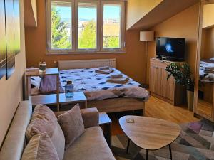 a living room with a couch and a bed at SOGNI D'ORO in Niš