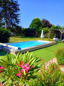a swimming pool in a yard with a flower at Les Petits Cailloux in Saint-Martin-lʼAstier