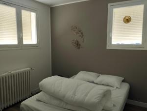 a bed in a room with two windows at Les Petits Cailloux in Saint-Martin-lʼAstier +2 photos