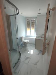 un bagno con doccia in vetro e WC di Studio cosy et lumineux avec climatisation a Châteauroux