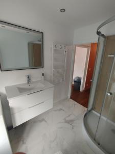 un bagno con lavandino, specchio e doccia di Studio cosy et lumineux avec climatisation a Châteauroux