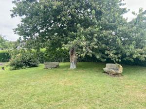 Zahrada ubytování Ferme Bellevue 15pers, à la campagne, proche Vire + 1 fotografie
