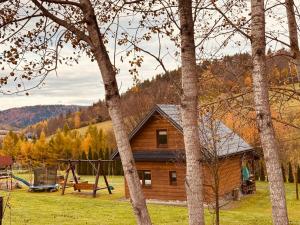 a log cabin with a swing and a playground at Bieszczady Żubrowe Wzgórze 785-049-543 in Stężnica