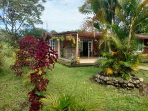 a house with a palm tree in front of it at Habitación confort in Puyo