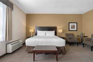 a bedroom with a bed and a chair and a table at Best Western Plus Baker Street Inn in Nelson +67 photos