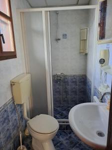 ein Badezimmer mit Toilette, Waschbecken und Dusche in der Unterkunft Карагьозовата Къща in Kopriwschtiza