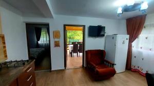 a living room with a refrigerator and a red chair at Căşuţa LA CUCU in Vadu Moţilor