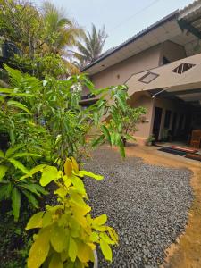 Pearl Surf Resort室外花園