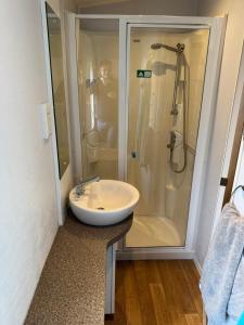 a bathroom with a sink and a shower at Wohnpark am Geiseltalsee für bis zu 12 Gäste in Neu Stöbnitz