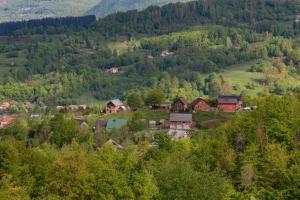 a village in the mountains with trees and houses at Best View Kolasin in Kolašin