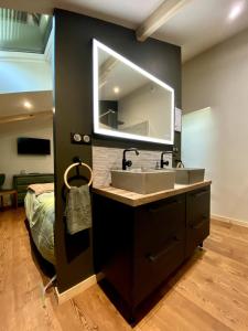 a bathroom with a sink and a mirror at Le Hameau des Bruyères in Cercié