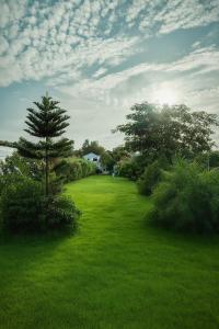 Landskap semula jadi dekat dengan apartmen