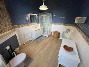 a bathroom with a toilet and a shower and a sink at La Fumacienne in Fumay +28 photos
