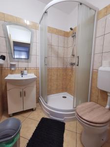 a bathroom with a shower and a toilet and a sink at Fáraó vendégház in Zalaegerszeg