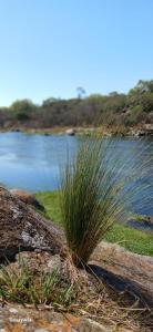 Φυσικό τοπίο κοντά σε αυτό το διαμέρισμα