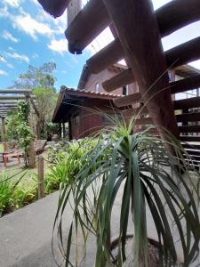 Zahrada ubytování Bangalô Praia da Ferrugem