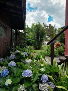 Zahrada ubytování Bangalô Praia da Ferrugem