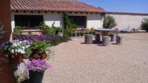 a group of potted flowers in front of a building at La huerta El Tordo in Manganeses de la Lampreana
