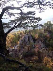 a view of a mountain with trees and rocks at Gîte Coeur De Brocéliande in Néant-sur-Yvel