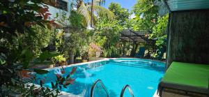 a swimming pool in a yard with plants at Feyola`s Leaf in Pelena +8 photos