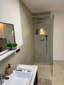 un baño con ducha y lavabo en Rednitz Luxus House, en Rednitzhembach