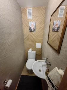 a small bathroom with a toilet and a sink at Zielony Balkon in Sanok