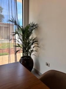 Gallery image of Casa Blanca in Asuncion