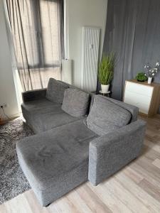 - un salon avec un canapé gris en face d'une fenêtre dans l'établissement Ferienwohnung mit Balkon in Steinhagen, à Steinhagen