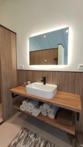 a bathroom with a sink and a mirror and towels at Vakantiewoning Hemme Limburg in Simpelveld +30 photos