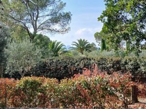 Κήπος έξω από το Les Fougères