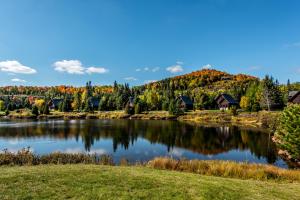 a lake in the middle of a forest at Chalets Royal Laurentien in Saint-Faustin