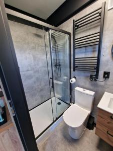 a bathroom with a toilet and a shower at Tiny house Polderzicht in De Veenhoop