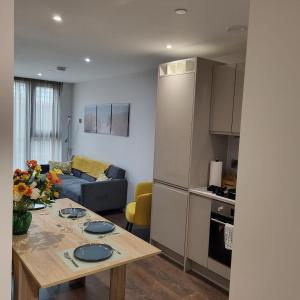 Kuchyň nebo kuchyňský kout v ubytování Riverside Apartment