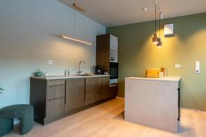 Køkken eller tekøkken på Arctic apartment