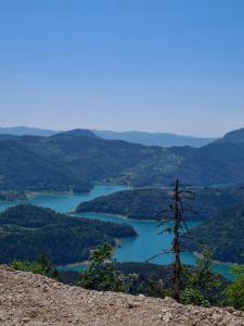 a view of a lake from the top of a mountain at Cozy Cabin in Sekulić 