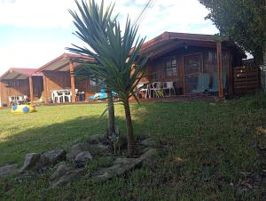 Zahrada ubytování Dinocamp