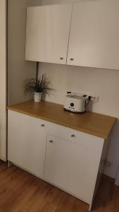 eine Küchentheke mit einem Toaster darüber in der Unterkunft Ferienwohnung in Windischeschenbach
