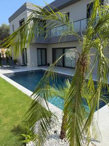 a palm tree in front of a house with a swimming pool at Vip lüks Odalar banyo ve klimalı in Cesme