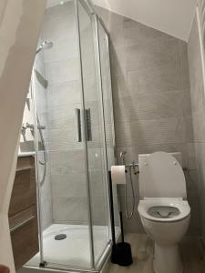 a bathroom with a shower and a toilet at Le Saint André in Villers-sur-Port