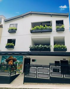 a white building with potted plants on the windows at Vida Hostel in Medellín