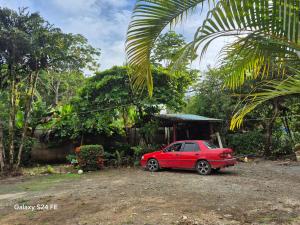 Zahrada ubytování Hostel yuriel