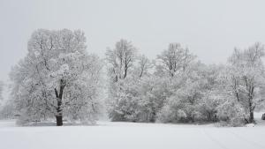 Gallery image of Balónový zámek Radešín in Radešín