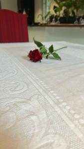 a red rose sitting on top of a white table at Havre de paix en Provence in Jonquières