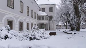 Balónový zámek Radešín v zimě