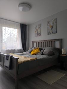 1 dormitorio con cama con marco de madera y ventana en Ludza stay Apartment, en Ludza
