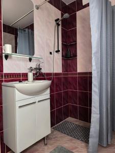 Un baño con lavabo y ducha en Ludza stay Apartment, en Ludza
