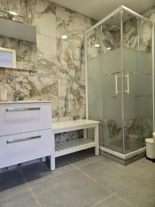 a bathroom with a shower and a sink and a toilet at Schneider Appartements Steinhude in Niederdorla +20 photos
